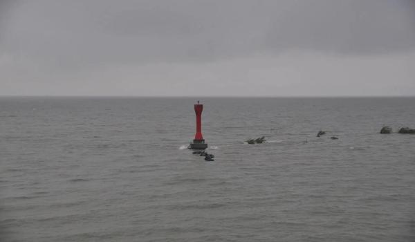 三角洲行动客户端在哪里下载（给我一个三角洲行动的下载链接）