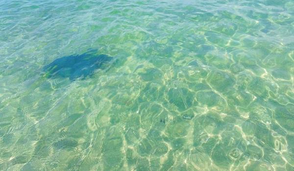 三角洲行动变态辅助（推荐一些三角洲行动的变态辅助）